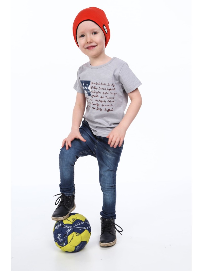 Boy\'s T-shirt with inscriptions, light gray NDZ4446 - Online store - Boutique